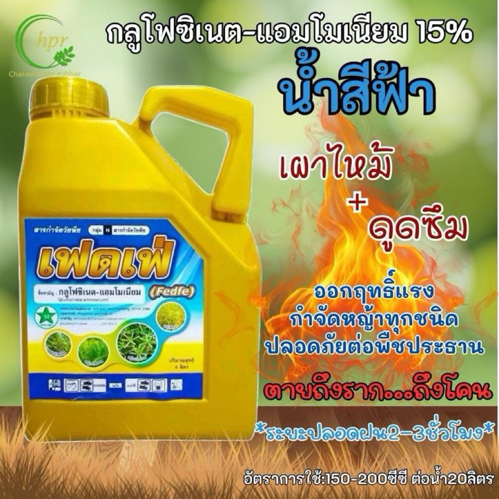 เฟดเฟ่ กลูโฟซิเนต เผาไหม้กึ่งดูดซึม