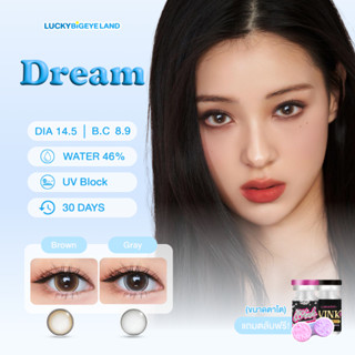 คอนแทคเลนส์ Dream Brown / Gray / Black (Wink Lens) ขนาดบิ๊กอ…