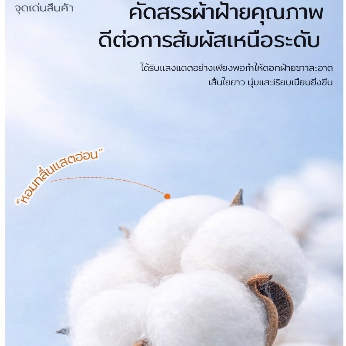 ที่นอนเด็ก ซักได้ทั้งชิ้น ที่นอนเด็กอนุบาล  ที่นอนเด็กอนุบาลหมอน คอตตอน พับง่าย ถอดซักได้ พกพาง่ ราคา ถูกที่สุด ดีลบีเคเค แกลเลอรีภาพที่ 4