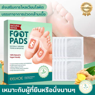 แผ่นแปะเท้า แผ่นแปะเท้าสมุนไพร คิโนกิ ของแท้ ดีท็อก แปะแก้ปวด แก้ปวด แผ่นแปะเท้าดูดสารพิษ แผ่นแปะสมุนไพรจีน