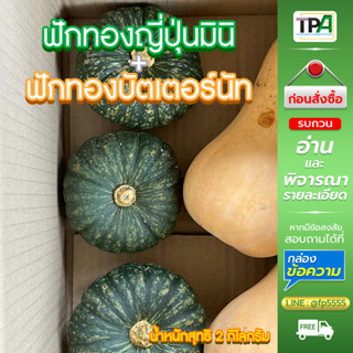 ฟักทองบัตเตอร์นัท+ฟักทองมินิ(ผลสด) 2 kg.- Butternut Squash+M…