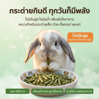 หญ้าอัดเม็ด อัลฟาฟ่าอัดเม็ดพรีเมียม Alfalfa 100% กระต่าย แพรี่ด็อก แกสบี้ ชินชิล่า เดกู เต่า 500กรัม