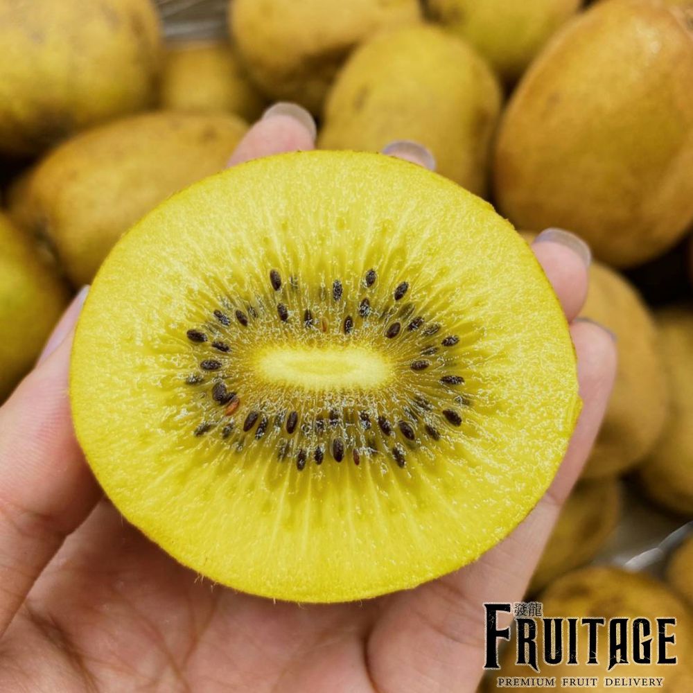 กีวี่ทอง KIWI Zespri SunGold (1ลูก) (China) ~ลดพิเศษ~ Premium ผลไม้ต่างประเทศ กีวี่สดใหม่ กีวี่สีทอง