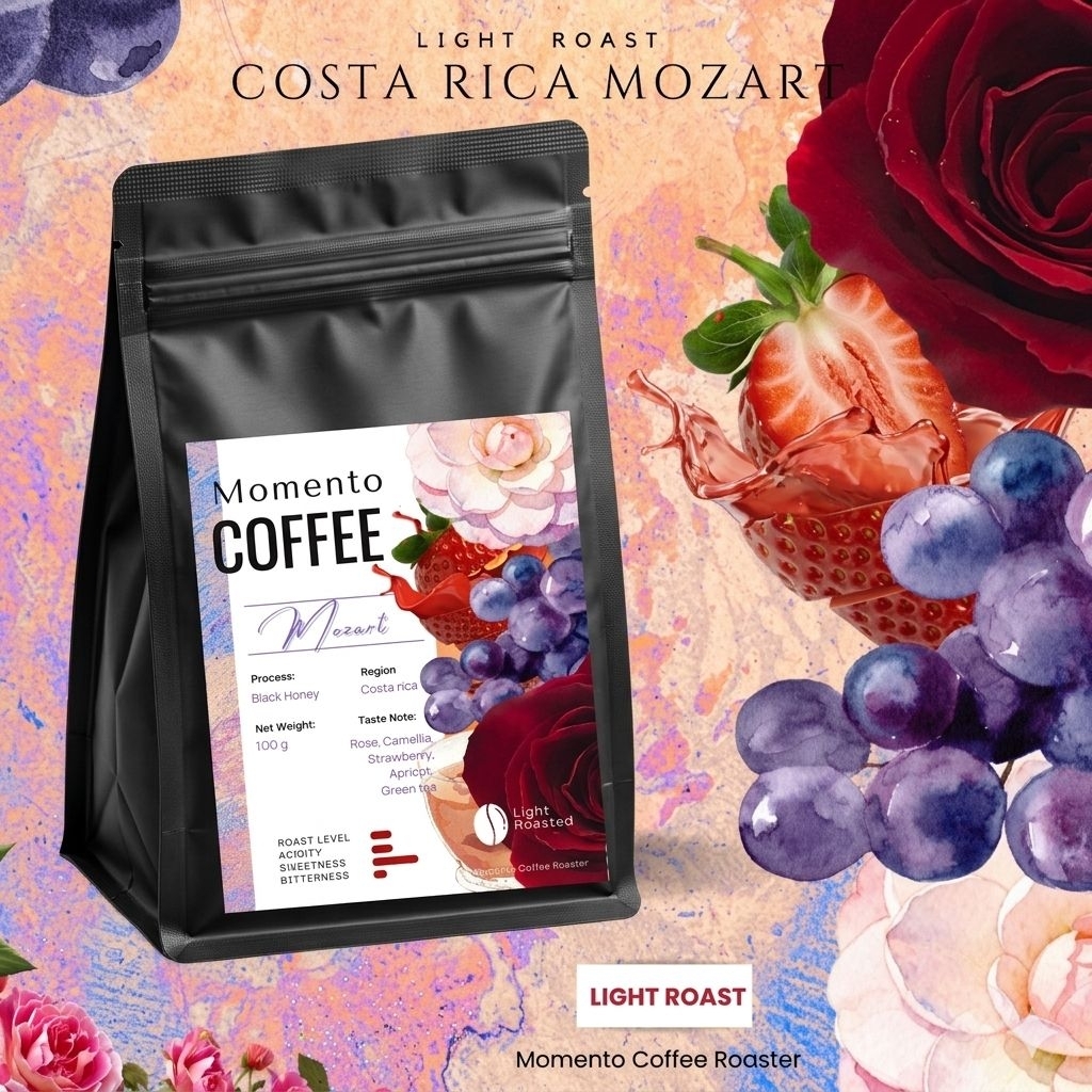 Costa Rica Mozart 100g.กรัม