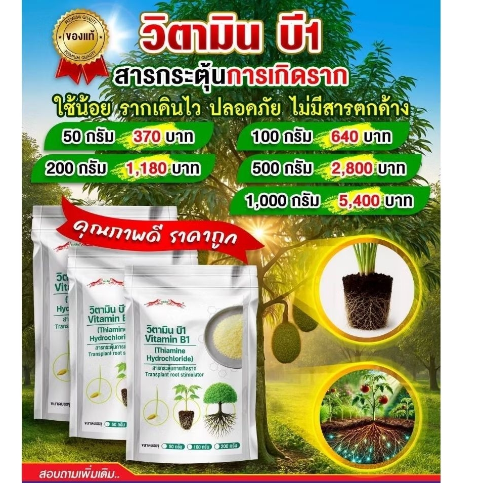 วิตามิน บี1 ตราเสือคู่ Vitamin B1 (Thiamine Hydrochloride) สารกระตุ้นการเกิดราก