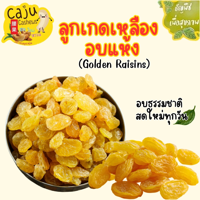 ลูกเกด เหลือง อบแห้ง Dried yellow raisins รสธรรมชาติ ไม่ปรุงแต่ง พร้อมทาน อร่อย มีประโยชน์ ราคา ถูกที่สุด ดีลบีเคเค แกลเลอรีภาพที่ 2