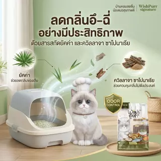 Wishpurr โปร 2 ถุง โปรตีน 35% ตัวแน่น ขนสวย ไม่เค็ม