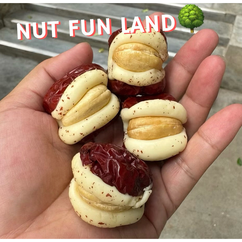 [หิ้วจีน🇨🇳รอ7-14วัน] Nut Fun Land แท้💯หิ้วเอง พุทรานมชีสสอดไส้วอลนัท Original จากชอป Shanghai 🇨🇳
