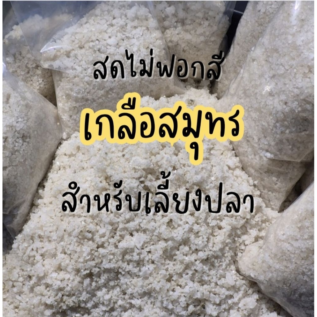 เกลือสมุทร สำหรับนักเลี้ยงปลา🐋🐳(1กิโล)