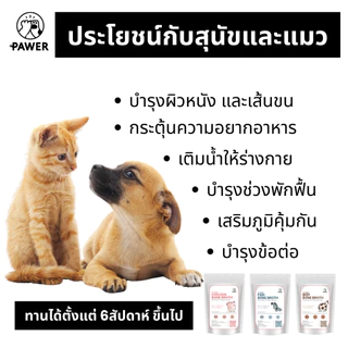 [ค่าส่งถูก! ส่งไว] Pawer Bone broth น้ำซุปตุ๋น เคี่ยวกระดูก 100ml สุนัขและแมว ใส่อาหาร ท้อปปิ้ง