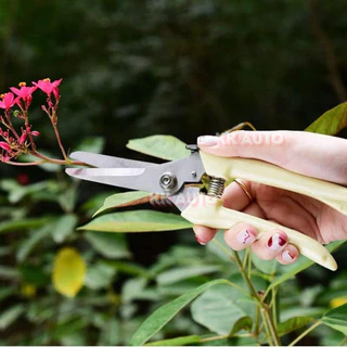 กรรไกรตัดกิ่งไม้ ใบมีดคม สำหรับตัดกิ่งไม้ ปากโค้ง ปากตรง ขนาด 7 นิ้ว สีครีม ใช้งานอเนกประสงค์ ราคา/ชิ้น