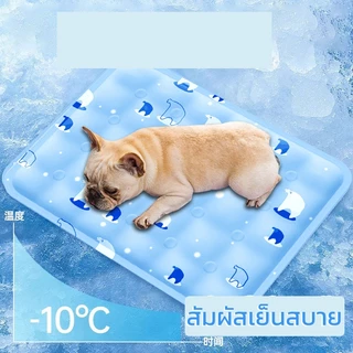 NEW PET COOL MAT ที่นอนเจลเย็น สัตว์เลี้ยง แมว สุนัข แผ่นเจลเย็น กันร้อน ระบายอากาศได้ คลายร้อนในฤดูร้อน