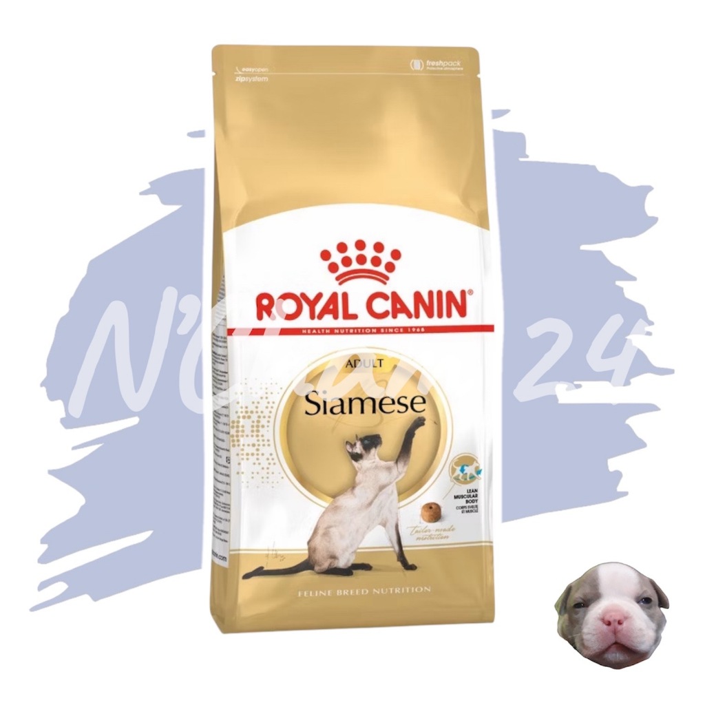 Royal Canin Cat Siamese 2 KG รอยัลคานิน อาหารเม็ดแมว วิเชียรมาศ แมวไทย อาหารแมวโต