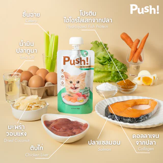 Push! อาหารแมว ซองบีบ [6/12/24 ซอง] Seafood Duo 🐟 Complete Balance 100g ไม่เติมเกลือ