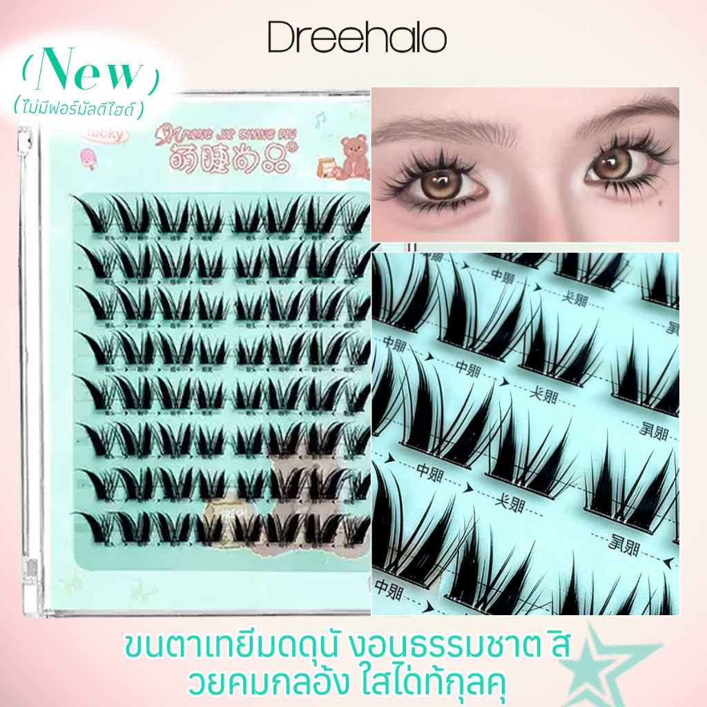 Dreehalo ซีรีส์ตุ๊กตาตาเฉี่ยวเอฟเฟกต์ 3 มิติ ขนตา ต่อขนตาปลอมแบบธรรมชาติสําหรับผู้ที่ชื่นชอบการขนตาหรือผู้เริ่มต้น310