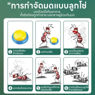 ⚡ล่อมดกลับรังฆ่ายกรัง🐜ยาฆ่ามด เจลกำจัดมด แอนท์เบท กำจัดมดอย่างมีประสิทธิภาพ บ้านไม่มีมดอีกต่อไป