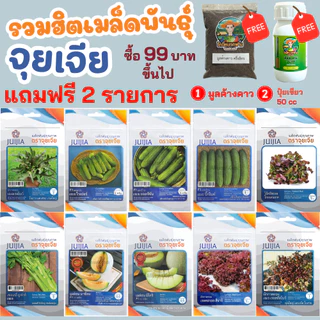 เมล็ดพันธุ์ผัก จุยเจีย F1 ซื้อ 99 บาทขึ้นไปแถมฟรีมูลค้างคาว ปุ๋ยเขียว ซองซิปเก็บง่ายใช้ต่อได้