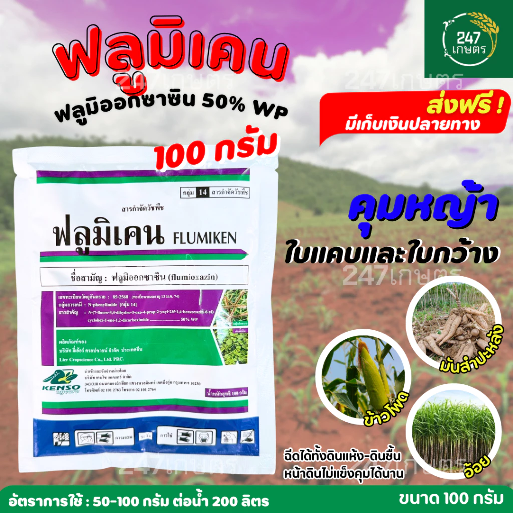ฟลูมิเคน100ก./คลาสซาญ่า 50ก. ฟลูมิออกซาซิน คุมหญ้านาน 2-3 เดือน ไร่อ้อย มันสำปะหลัง สวนผลไม้ ทุเรียน ทั้งดินแห้ง-ดินชื้น