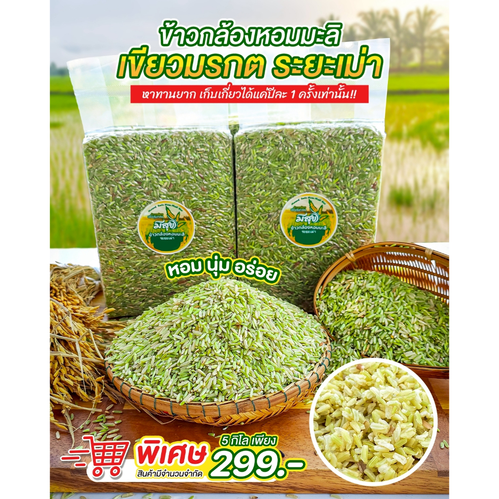 ข้าวกล้องหอมมะลิเขียวมรกต 5 กิโล ตรามีสุข (ระยะเม่า) มีแค่ปีละครั้งเท่านั้น