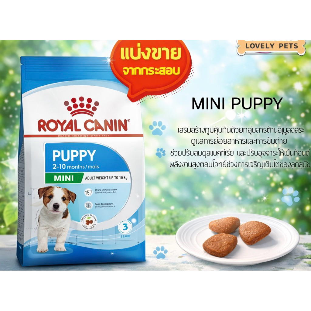 (PUPPY)Royal Canin Mini Puppy อาหารเม็ดลูกสุนัขพันธุ์เล็ก.. แบบแบ่งขาย 1 กิโลกรัม..