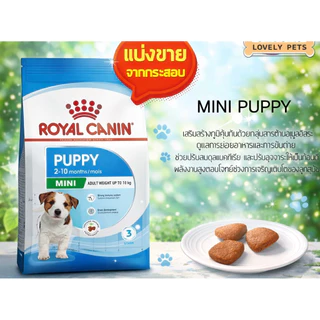 (PUPPY)Royal Canin Mini Puppy อาหารเม็ดลูกสุนัขพันธุ์เล็ก.. แบบแบ่งขาย 1 กิโลกรัม..