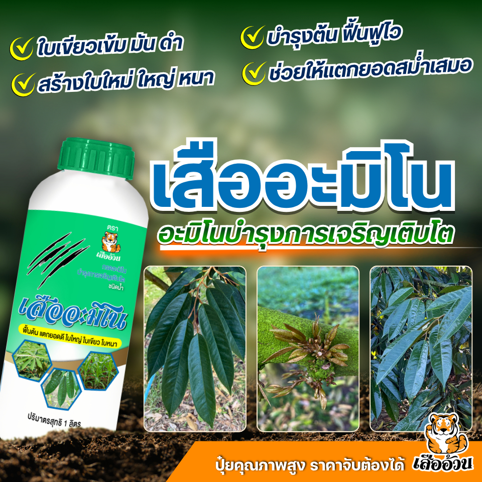 เสืออะมิโน ตราเสืออ้วน อะมิโนบำรุงการเจริญเติบโต ฟื้นต้น แตกยอดดี ใบใหญ่ ใบเขียว ใบหนา ขนาด 1 ลิตร