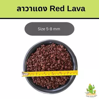 ✅ส่งฟรี หินลาวาดำ หินลาวาแดง (Volcanic rock)