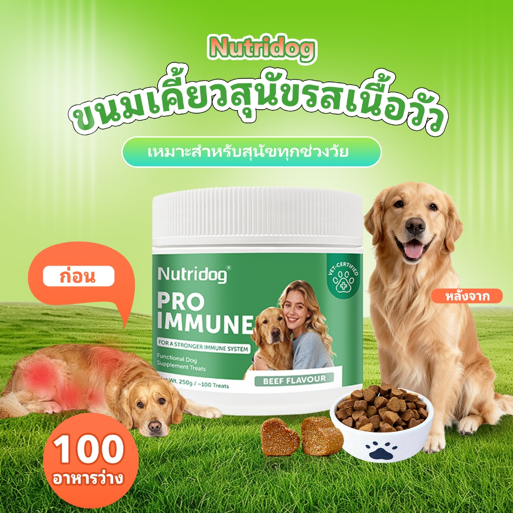 Nutridog ยาเม็ดเคี้ยวแก้แพ้สำหรับสุนัข บรรเทาอาการคัน มีโอเมก้า 3 รสเนื้อวัว เหมาะสำหรับสุนัขทุกวัย 100 เม็ด