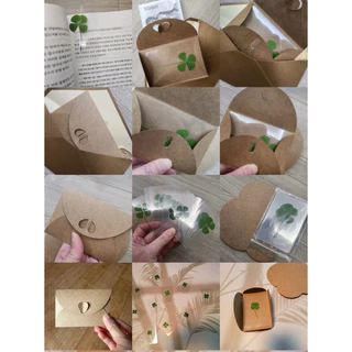 🇰🇷🍀(พร้อมส่ง/แท้)ใบโคลเวอร์ 4และ5แฉก ใบจริง ของแท้จากเกาหลี Leaf Cloverใบไม้แห่งความโชคดี