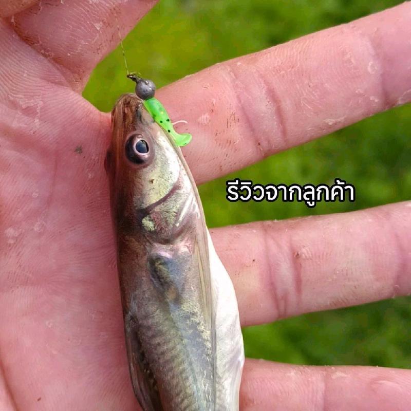 Thumbnail 7