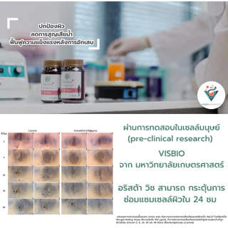 Set B โปรโมชั่น อริสต้า วิช 2 กระปุก ราคาพิเศษ