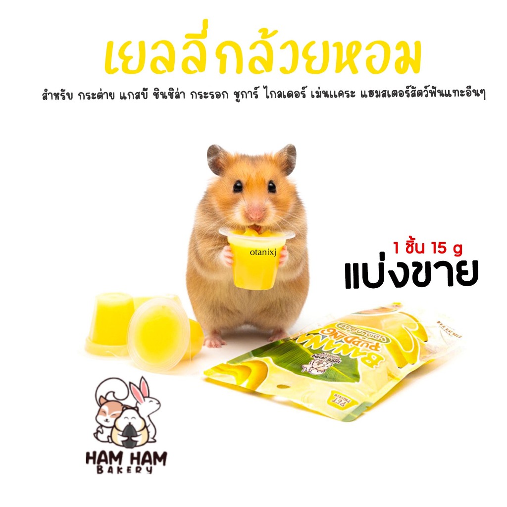 รวมรส เยลลี่ Ham Ham Bakery อาหารหนูแฮมเตอร์ ขนม  กระต่าย กระรอก ชูการ์ไกรเดอร์ เม่นแคระ และ สัตว์เล็ก อื่นๆ ราคา ถูกที่สุด ดีลบีเคเค แกลเลอรีภาพที่ 2