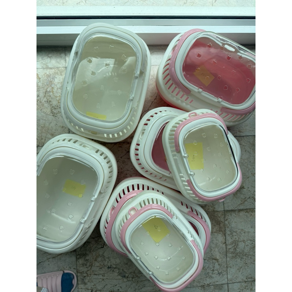 [Hamsterthailand]SALE ตัวโชว์มีรอย พร้อมส่งกระเป๋าพกพา ลูกแมว *แฮมสเตอร์เม่นแคระ