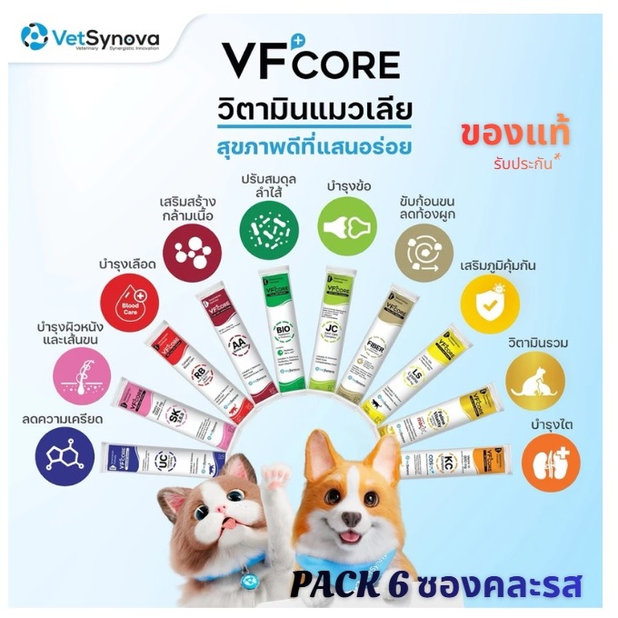 VFcore ขนมวิตามินแมวเลียเพื่อสุขภาพ ขนาด 12g. (ของแท้100%) แพค6ชิ้น คละรส