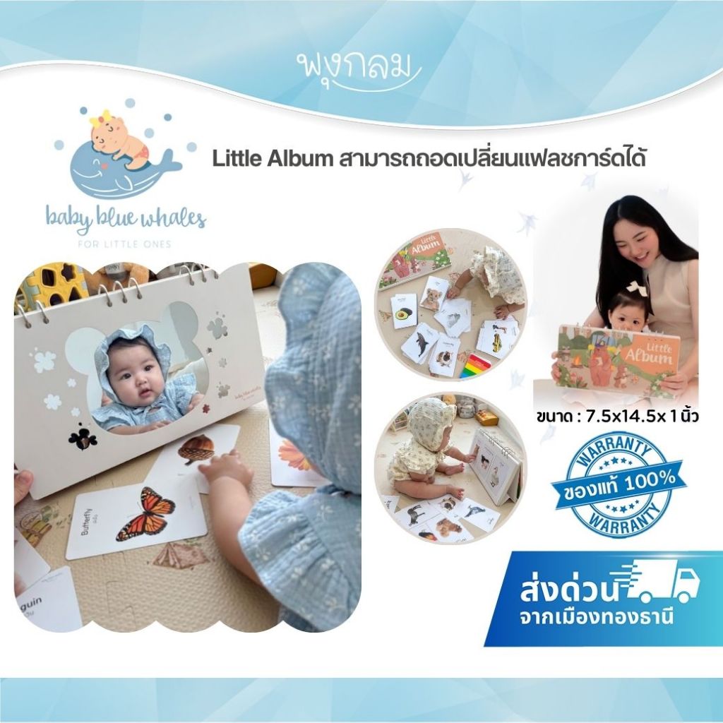 (ส่งด่วน) Baby Blue Whales ชุด Little Album (0M+)