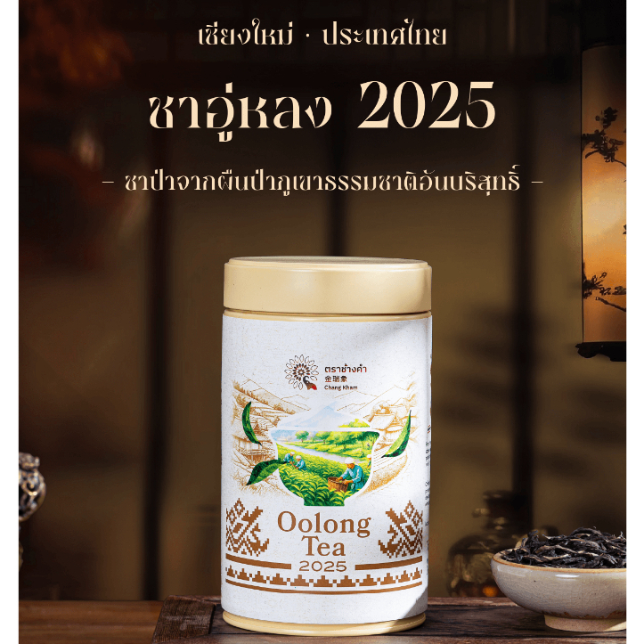 ชาป่าชนิดอู่หลจากเชียงใหม่清迈野生乌龙茶 Will Oolong Tea From ChiangMai