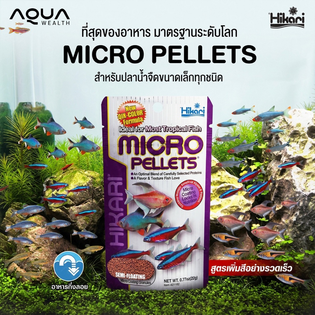 Hikari Micro Pelletsอาหารสำหรัปลาขนาดเล็ก ชนิดกึ่งลอยน้ำ
