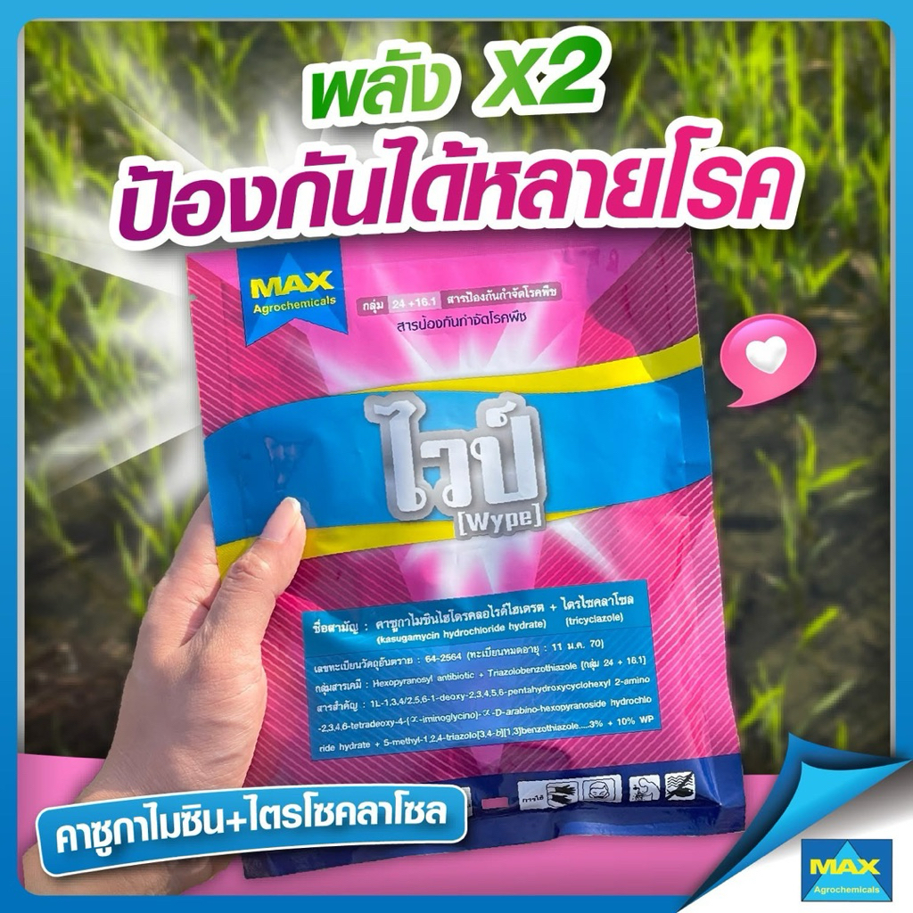 ไวป์ 100 กรัม (คาซูกาไมซิน +ไตรไซคลาโซล 3%+10% WP) แมกซ์