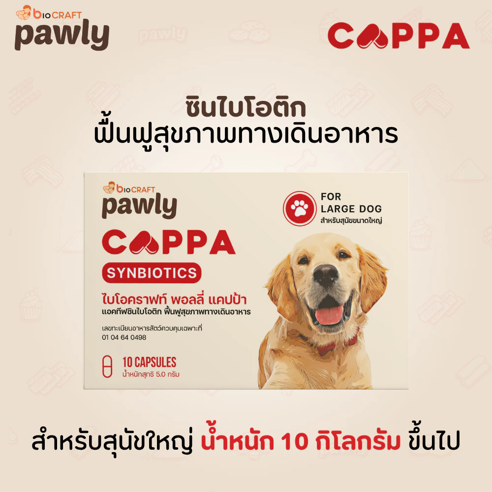 Pawly Cappa (สำหรับสุนัข) ดูแลลำไส้ เสริมภูมิ ขับถ่ายดี ลดกลิ่นมูล - [1แผง - 10แคปซูล]