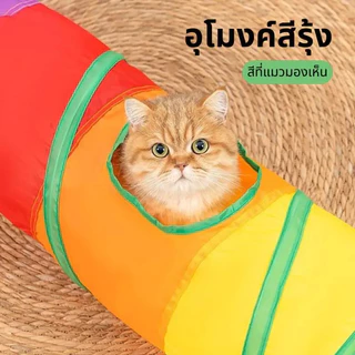 【FurBaby】 พร้อมส่ง COD ของเล่นแมว อุโมงค์แมว พับเก็บได้ อุโมงค์สายรุ้ง วงกตแมวซ่อนแอบ แมวเล่นเอง ระบายพลัง แก้เบื่อ สัตว