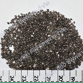 เมล็ดเจีย ออร์กานิค มี อย. คัดพิเศษ Organic Chia Seed