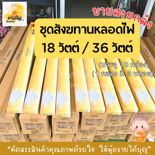 ขายส่งหลอดไฟสังฆทาน ยกลัง (บรรจุ 10 กล่อง)