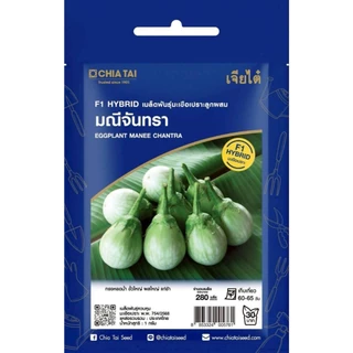 เจียไต๋ (Easy) เมล็ดพันธุ์ มะเขือเปราะมณีจันทรา ขนาด1กรัม ประมาณ240เมล็ด Round Eggplant มะเขือเปราะ มะเขือ เมล็ดพันธุ์