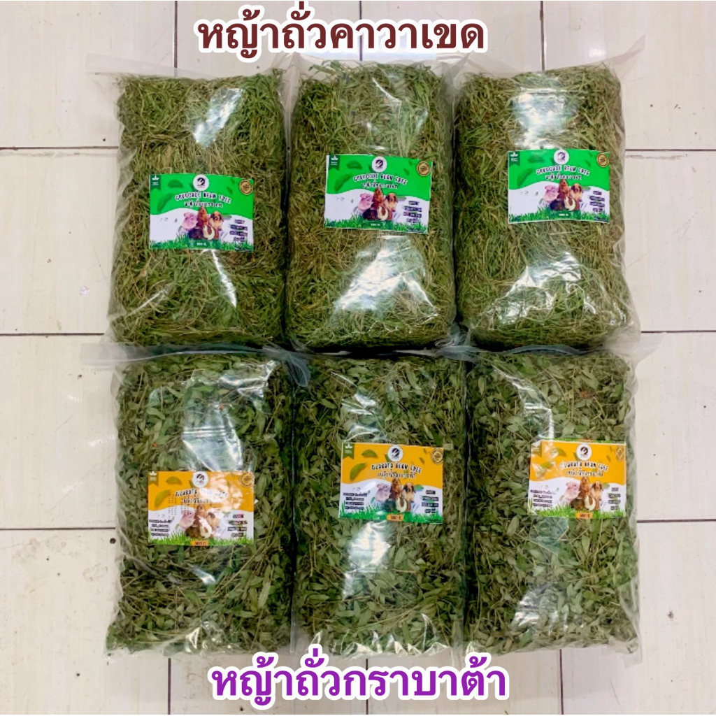 หญ้าถั่วคาวาเขดและหญ้าถั่วกราบาต้าสำหรับสัตว์ฟันแทะะะะะะะะะะะเแล้ว