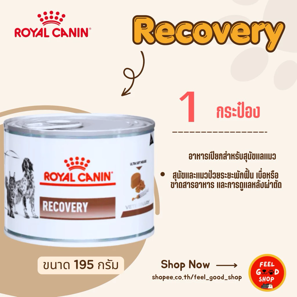 (( 1 กระป๋อง )) Royal canin Recovery 195 g. Exp.04/2027อาหารสัตว์ป่วยพักฟื้น