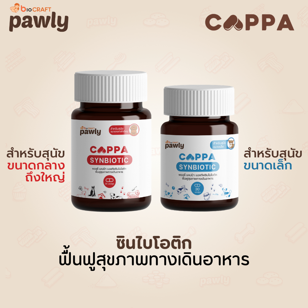 Pawly Cappa (สำหรับสุนัข) ดูแลลำไส้ เสริมภูมิ ขับถ่ายดี ลดกลิ่นมูล - [1กระปุก - 30แคปซูล]