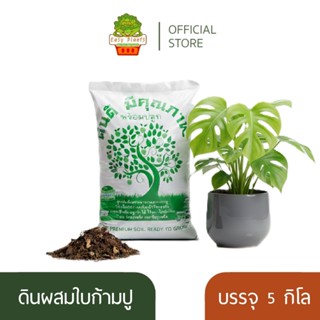 ดินหมักใบก้ามปู หน้าดิน ผสม ใบก้ามปูหมัก ผุ เปื่อย ดินพร้อมป…