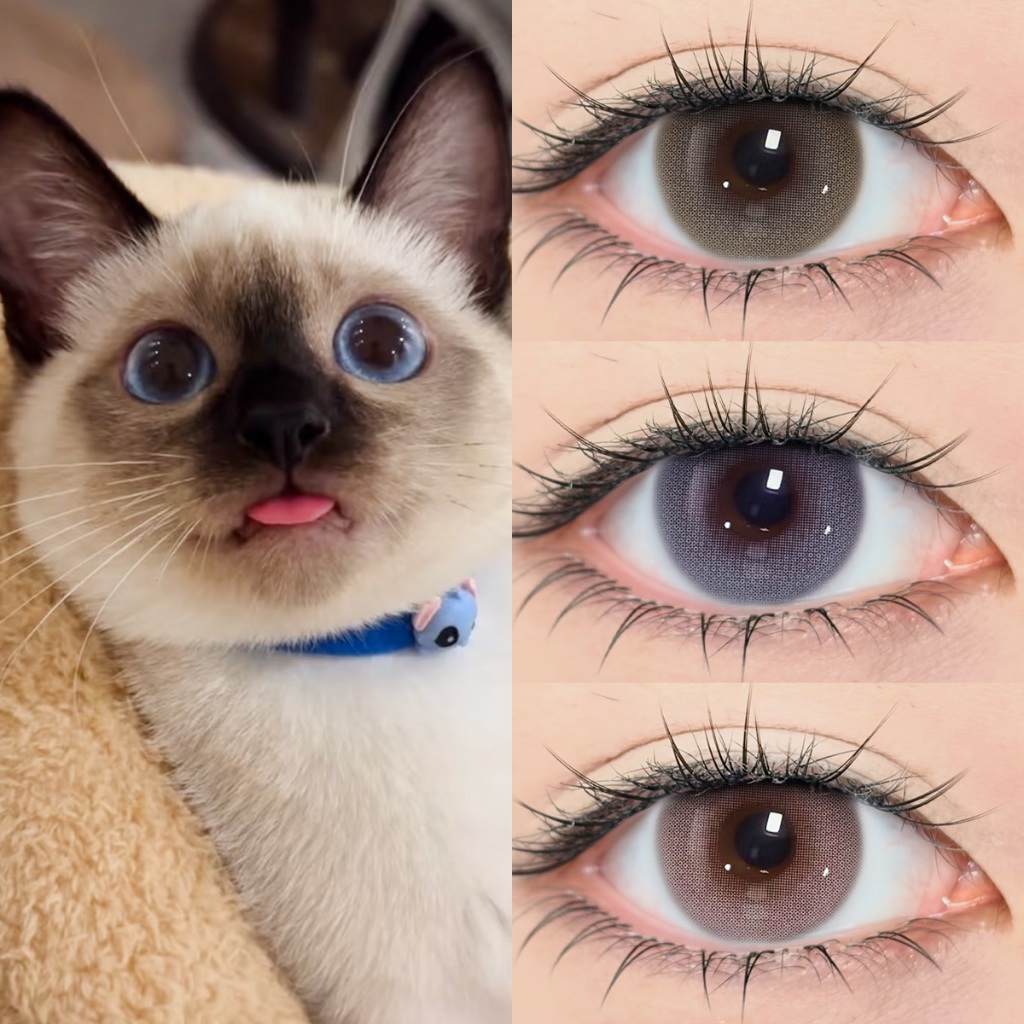 [📢FDA-approved❗ ]【ซื้อ1คู่แถม ลิปสติก💋】Midroo เลนส์บิ๊กอายน่ารัก ขยายรูม่านตา Bunny Pink/Blue/Brown-14.5MM รายเดือน