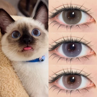 [📢FDA-approved❗ ]【ซื้อ1คู่แถม ลิปสติก💋】Midroo เลนส์บิ๊กอายน่ารัก ขยายรูม่านตา Bunny Pink/Blue/Brown-14.5MM รายเดือน
