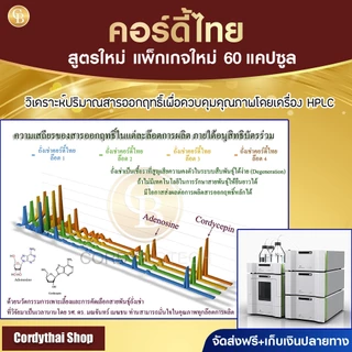 📌ล็อตล่าสุด CORDYTHAI โปรซื้อ3แถม1 ถั่งเช่า คอดี้ไทย เลือกสูตรชายหญิงได้ 4 กระปุก (60 แคปซูล)
